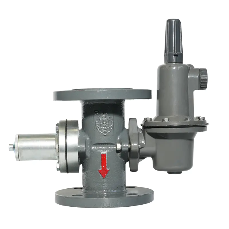 Gas Pressure Regulator